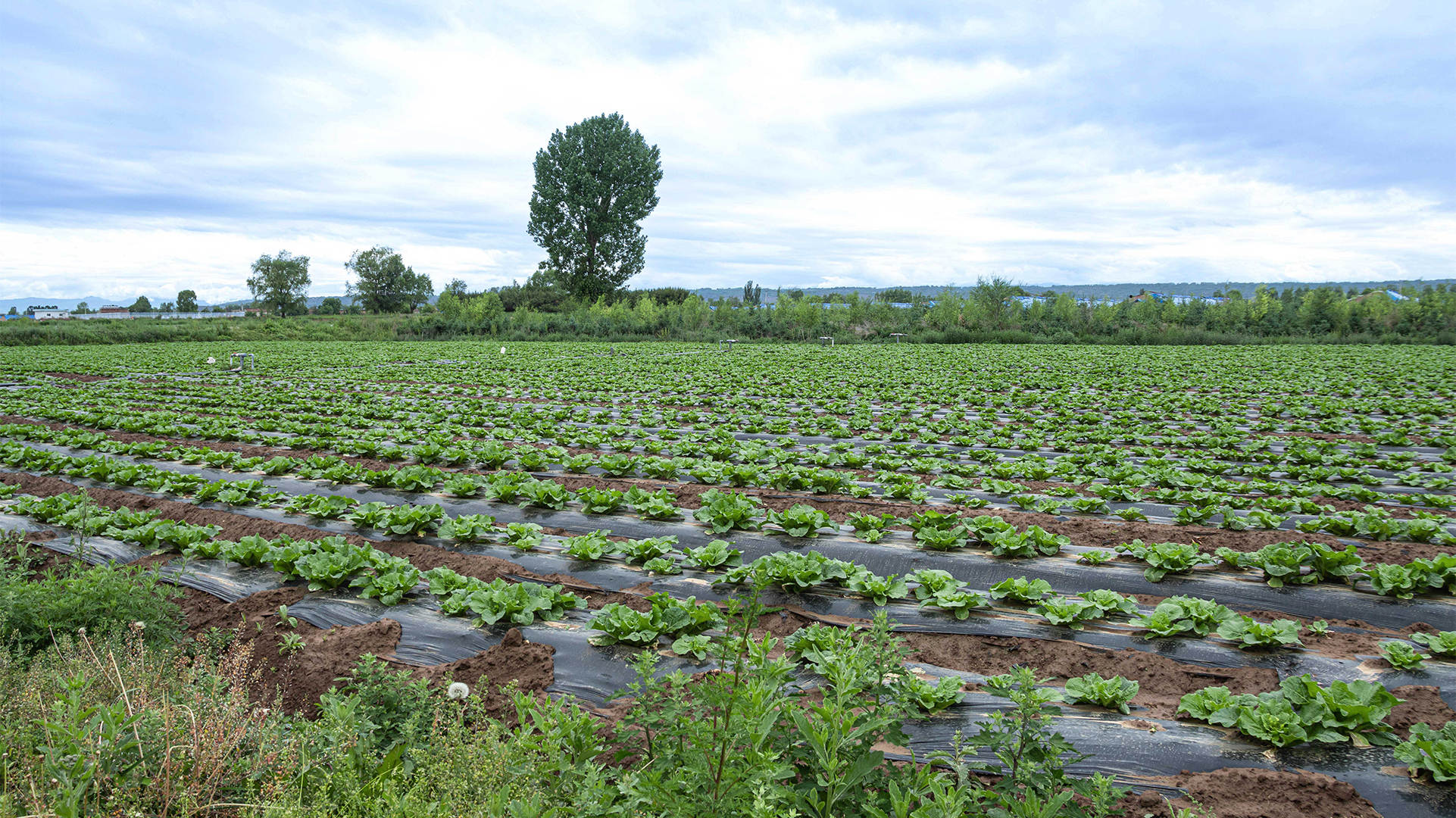基地(dì)實拍(pāi)
